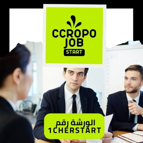 من أجل نجاحكم في البحث عن عمل والتحضير الاحترافي لمقابلة العمل
 والاندماج المهني